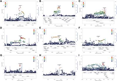 Genome-wide association study for systemic lupus erythematosus in an egyptian population